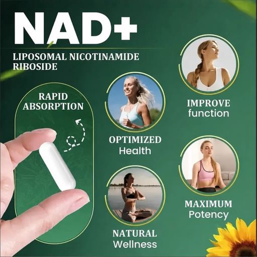 Nad + Nicotinamide Riboside 900mg Resveratrol 80 Cápsulas Sin Sabor